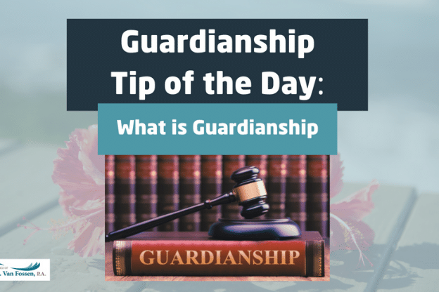 What is Guardianship?